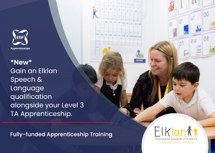 Level 3 Teaching Assistant Apprenticeship plus Elklan Qualification